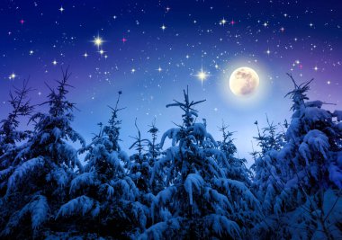 Ağaçlar kırağı ve ay ışığıyla kaplanmış. Orman dondu. Noel kartı..