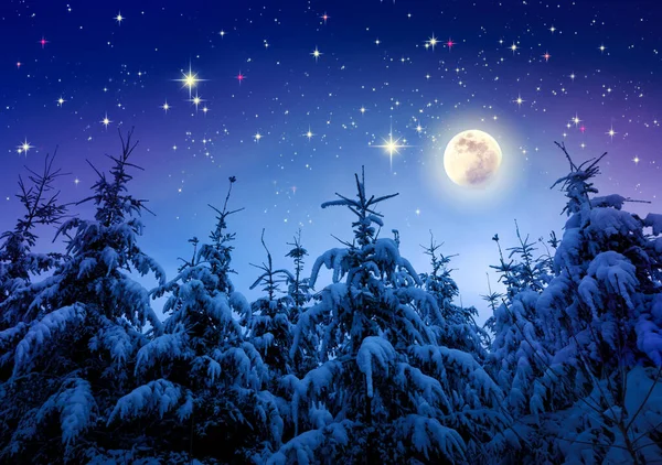 Rozsdás Holdfénnyel Borított Fenyők Fagyott Erdő Karácsonyi Üdvözlőlap — Stock Fotó