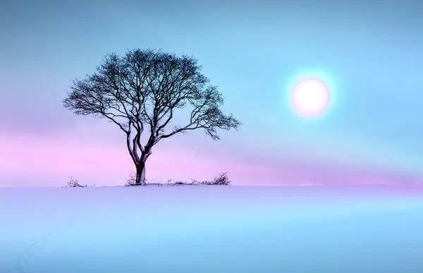 Paisaje de invierno con árbol cubierto de nieve. Fondo de Navidad. — Foto de Stock