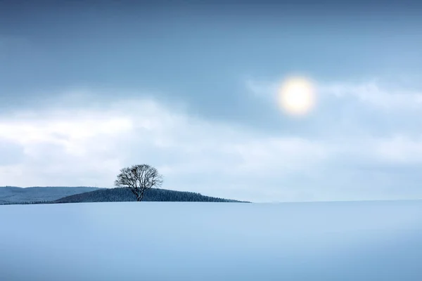Zimní krajina se zasněženým stromem. Vánoční pozadí. — Stock fotografie