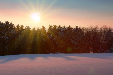 Kış ağaçlarının altında gün batımı. Noel arkaplanı.