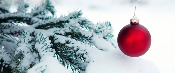 Bola vermelha de Natal pendurada em ramos de pinho na neve branca . — Fotografia de Stock