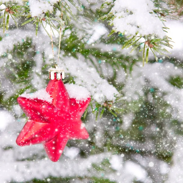 Estrella roja en rama de pino cubierto de nieve. Fondo de Navidad. — Foto de Stock