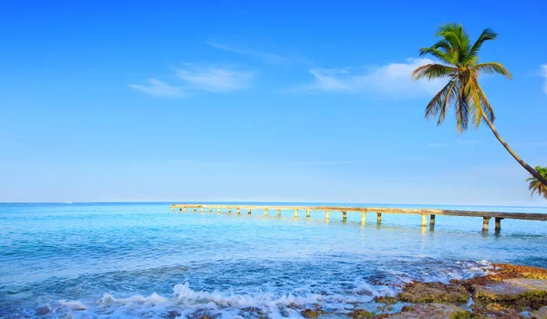 Morze Karaibów i zielona palma. Letni krajobraz morski . — Zdjęcie stockowe