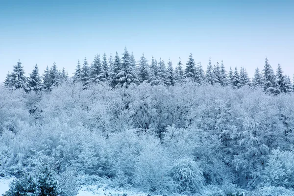 Vánoční pozadí se zimním lesem a bílým sněhem. — Stock fotografie