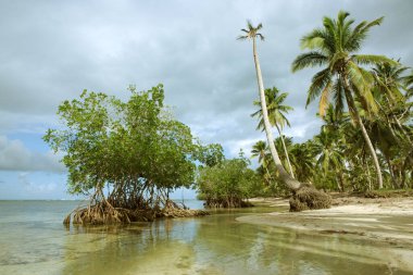 Tropical sea and clouds sky background. Sommer ocean landscape as background.
