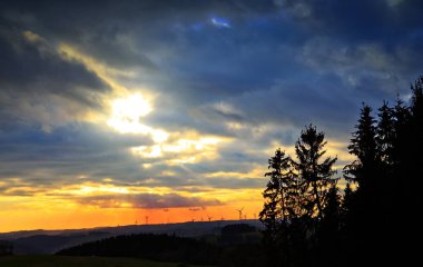 Renkli gece gökyüzünde gün batımı ve ağaç silueti.