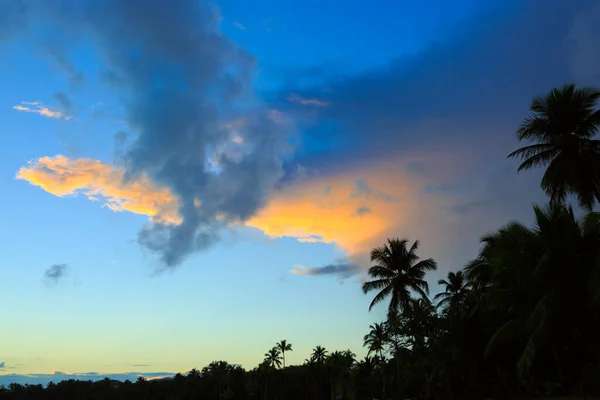 Ciel nuageux avec cocotiers. Contexte du voyage . — Photo