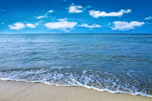 아름다운 순록 바다와 푸른 구름 하늘입니다. 여행 배경. — 스톡 사진