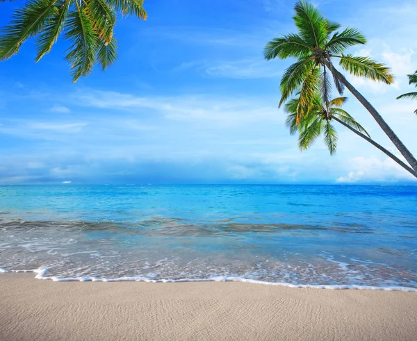 Fondo de viaje con el mar Caribe y palmeras verdes en la playa tropical blanca. —  Fotos de Stock