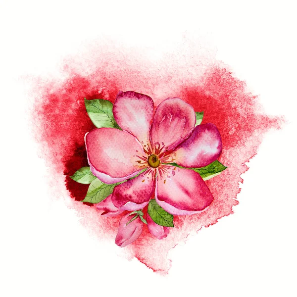 Coeur de Saint Valentin coloré avec fleur rose et feuilles vertes — Photo