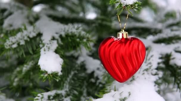 Červené srdce na sněhem pokryté borovice větev. Valentines den pozadí. — Stock video