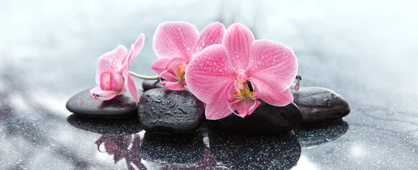 Spa stones and pink orchid flowers on gray background. — Stock Photo, Image
