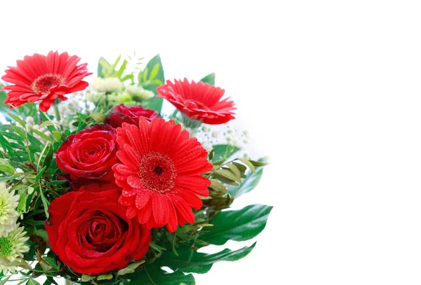 Valentijnsdag achtergrond met gerbera 's en rozen geïsoleerd op wit . — Stockfoto