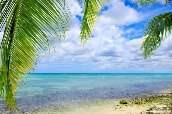 Fondo de viaje con hojas de palma y mar caribeño. — Foto de Stock