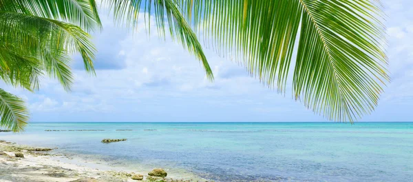 Fundo de viagem com mar do Caribe e folhas de palma . — Fotografia de Stock