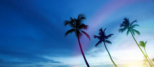 Palmiers et coucher de soleil sur la mer des Caraïbes. — Photo