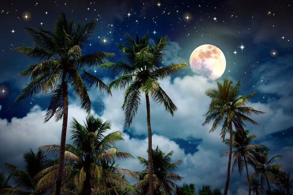 Night stars sky with full moon of Caribbean palm garden. — 스톡 사진