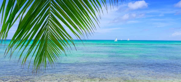 Fundo de viagem com mar do Caribe e folhas de palma . — Fotografia de Stock