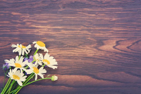 Flores de margarita blanca sobre tabla de madera. Fondo de verano . — Foto de Stock