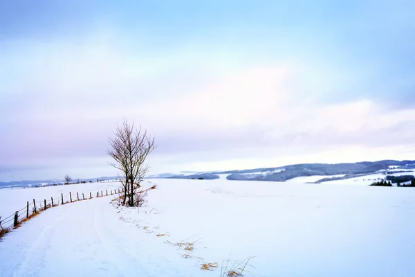 Paisagem Inverno Com Árvores Cobertas Neve Estrada — Fotografia de Stock