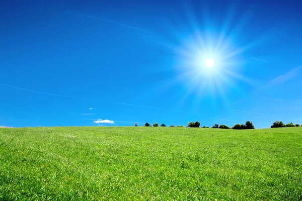 Καλοκαίρι Τοπίο Πράσινο Γρασίδι Ουρανό Και Φως Του Ήλιου — Φωτογραφία Αρχείου