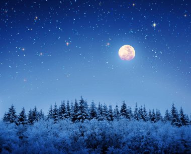 Kış ormanı karla kaplı ağaçlar ve yıldızlar gökyüzü ve dolunay.