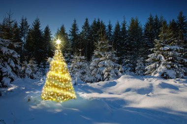 Kış ormanlarında ışıkları ve gökyüzünde yıldızları olan Noel ağacı. Noel Kartı.