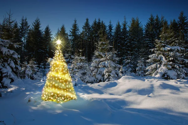 Weihnachtsbaum Mit Lichtern Winterwald Und Sternenhimmel Weihnachtskarte — Stockfoto