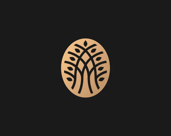 Folhas Árvores Abstratas Logotipo Oval Dourado Jardim Luxo Logotipo Ícone — Vetor de Stock