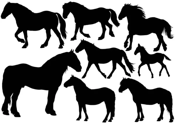 Silhouettes Chevaux Trait Lourds Différents Types Compris Deux Mâles Debout — Image vectorielle