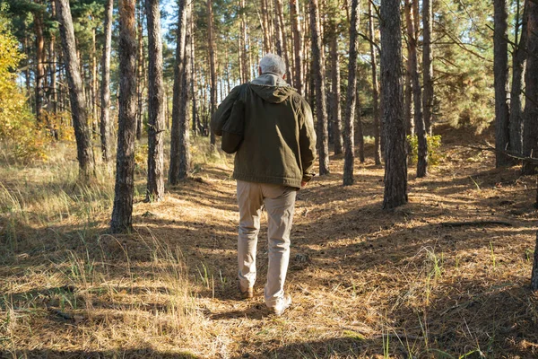 Senioren mannelijke wandelaar wandelen met rugzak in het bos terwijl u geniet van de herfstnatuur — Stockfoto
