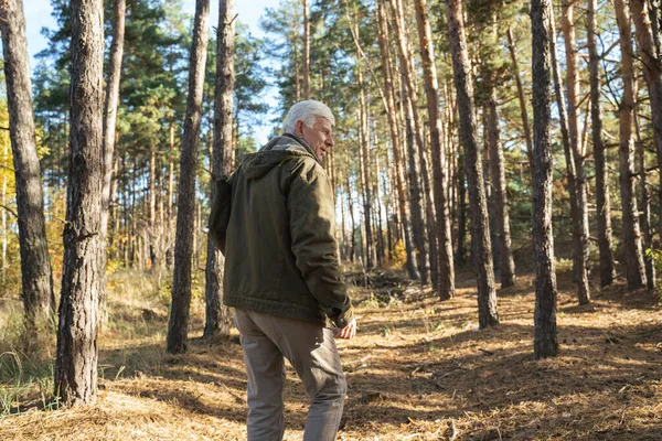 Man gaat bergop tijdens het wandelen in het bos of park en onderzoekt natuur en bomen — Stockfoto