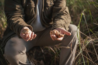 Yaşlı adam çantaya mantar koymaya hazırlanıyor.