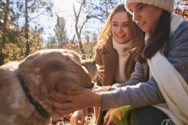 Anne ve kızı sonbahar bahçesinde büyük labrador köpeğiyle oynarken eğleniyorlar.