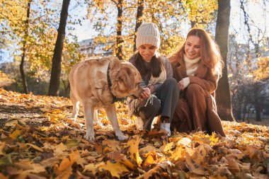 Güzel, mutlu bir aile Golden Retriever 'la eğleniyor.
