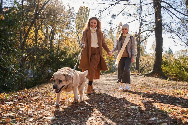Mère et fille profitant de la marche d'automne tout en traversant le parc — Photo