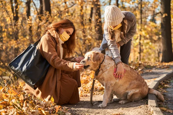 Mère et fille portant des masques protecteurs prenant soin de la fourrure de leur chien — Photo