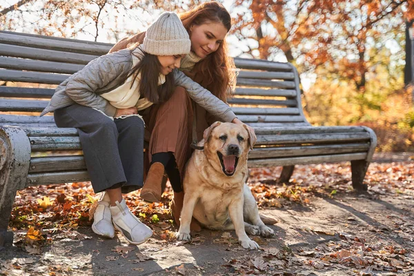 Tiener meisje strelen haar gelukkig hond terwijl zitten op de bank met haar moeder — Stockfoto