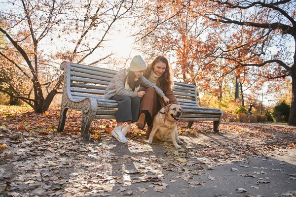 犬と一緒に幸せな散歩をしながらベンチに座っている白人家族 — ストック写真