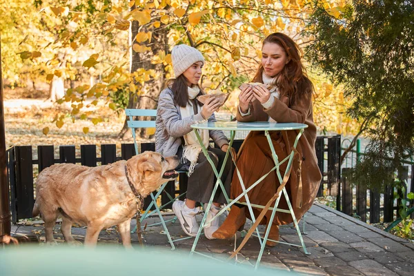 Мать и дочь и их собака-лабрадор едят вкусную еду в кафе на осенней улице — стоковое фото