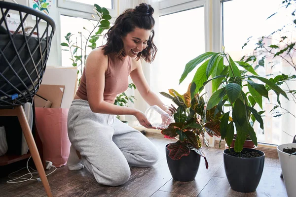 Žena se pozorně dívá na listy svých domácích rostlin, zatímco se o ně stará — Stock fotografie