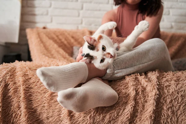 Mujer morena relajándose con su gato doméstico manchado en el sofá durante el fin de semana —  Fotos de Stock
