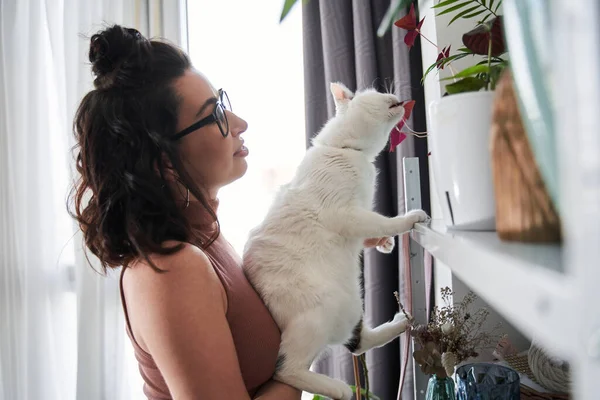 Caucásico mujer sosteniendo su blanco doméstico gato mientras él estiramiento a la olla con planta con interés —  Fotos de Stock