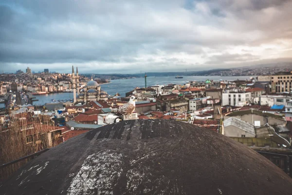 Telhado Mais Antigo Istambul Com Vista Para Bósforo Parte Histórica — Fotografia de Stock
