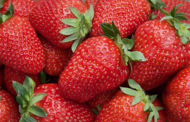 Doğal taze meyve arkaplanı. Yaz organik çöl. Kırmızı lezzetli çilekler..