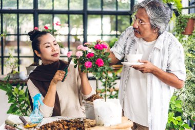Mutlu bahçıvan yaşlı bir çift bahçedeki küçük ağaçlara bakıyorlar. Emeklilik konsepti.