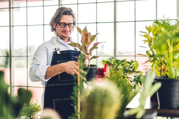 Mutlu bahçıvan kıdemli yaşlı adam bahçedeki küçük ağaçla ilgilenen çiçek sulama ve bahçeyle bahçeye bakıyor. Emeklilik kavramı.