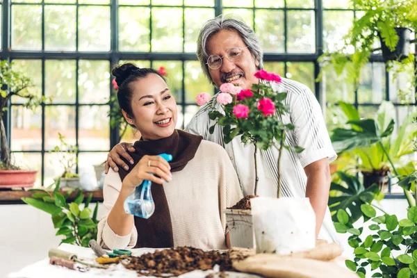 Happy Gardener Senior Old Eldery Couple Looking Young Plant Watering — Stock Photo, Image