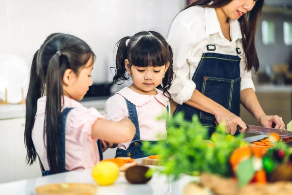 Ritratto Godere Amore Felice Famiglia Asiatica Madre Bambina Ragazza Asiatica — Foto Stock